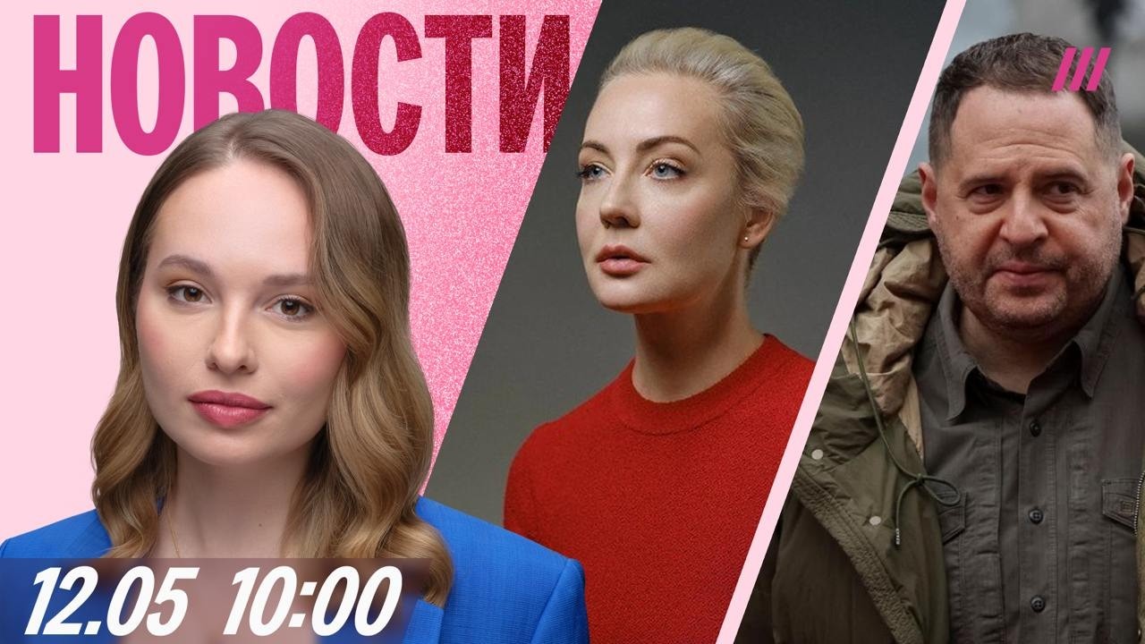 Навальная ответила Жданову. Сядет ли Андрей Ермак? Тихона Дзядко приговорил?