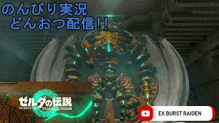 どんおつ配信「ゼルダの伝説 ティアーズオブザキングダム」10