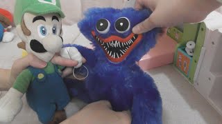 かなのマリオ劇場！ハギーワギーの手術をします！【かなちゃん10歳✿なみちゃん7歳✿りょうくん3歳】