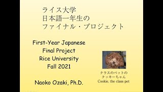 Rice University JAPA 141 Final Project F21