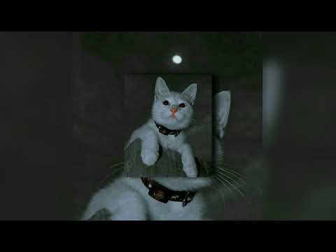 taça a perEreca os menor te atravessa funk speed up funk tiktok rj