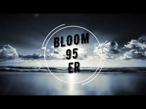 Gigi D'Agostino vs Justin Bieber - Let Me Love Toujours(BLOOM 95 ER)