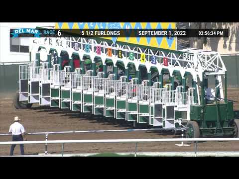 Flame Rider wins race 6 at Del Mar 9/1/22