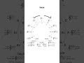 The Circle of Fifths EXPLAINED in 90 Seconds! 🎵 #songwritingtips  #songwritertheory #music