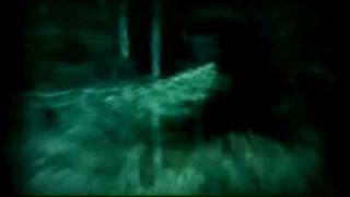 Twilight- I Can&#39;t Live by Justin Guarini