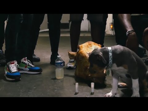 Guams - Poockie (Clip Officiel)