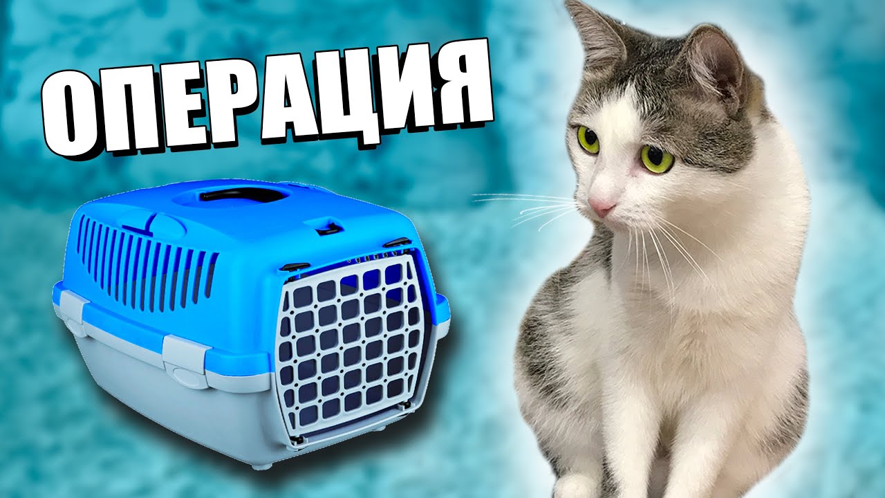 Соне сделали операцию. Что дальше? / SANI vlog