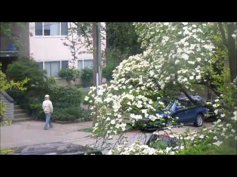 Man singing opera walking down a street