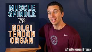Download lagu Muscle Spindle vs. Golgi Tendon Organ- Explained mp3