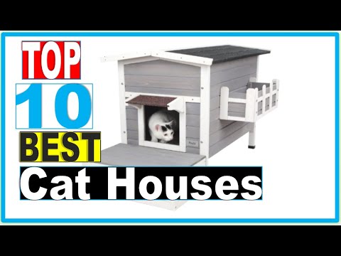 Cat Houses: Best Outdoor Cat Houses For Winter 2022 (Buying Guide)
