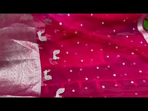 Organza Lehenga Choli