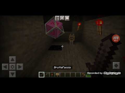 LA MORTE DI WOLLY????? - mi fingo lo youtuber misterioso.