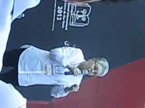 Maria Adelaide Amaral Palestra sobre Tarsila do Amaral na Bienal 2012 parte 2