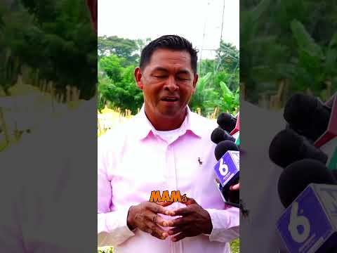 Un rincón mágico: descubrí este campo de flores en Masaya