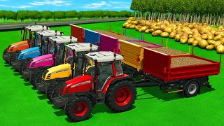 🥔 Potatoes Harvested and Hauled with Mack Trucks and JCB Excavators 🚜 Farming Simulator 25