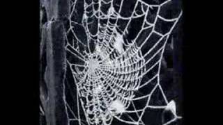 SWEET BABY JAMES..Cover by My Beaut Bro Dave