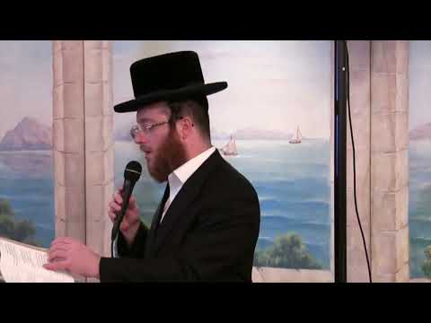 Harei At - Cantor Yanky Lemmer