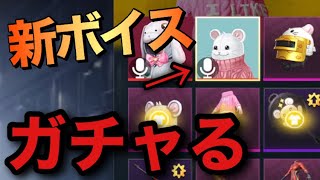 今日実装のネズミボイス！ガチャまわした結果がゴミすぎた【PUBGモバイル】