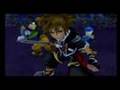 Kingdom Hearts 300