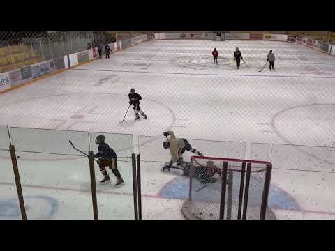 U12B Gold - Feb 12 - Practice - SARC - Coach Fun