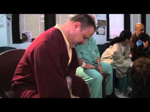 Julianne Hough Kicks Off Voting for Hero Dog Awards