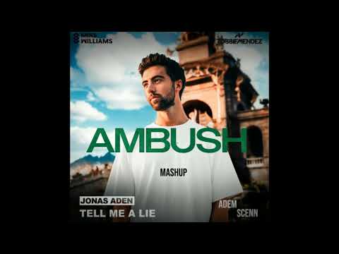 Mike Williams & Robbie Mendez vs Jonas Aden - Ambush vs. Tell Me A Lie (Adem Scenn Mashup)