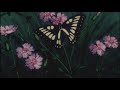 Fase Yoda - Butterflies (Slowed + Reverb)