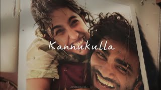 Download lagu Kannukulla (Reprise) @SaiAbhyankkar |  | Dude | Mamitha | pradeepranganathan  mp3