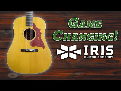 Iris Guitars D-WH Natural image 9