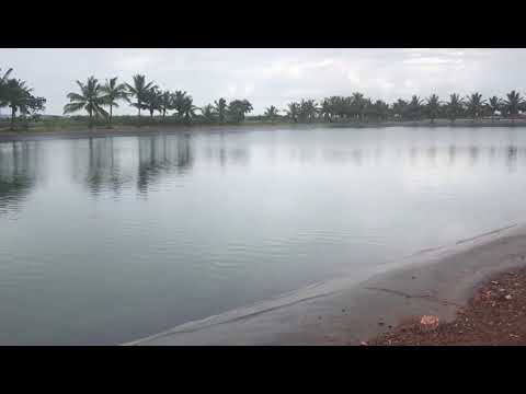 Pvc pond liners, for water storage