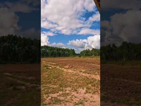 La  Barinesa San jacinto Canelones Uruguay