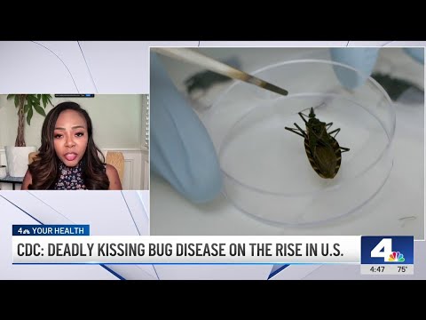 Deadly ‘kissing bug disease' is on the rise in US. Here's what to know