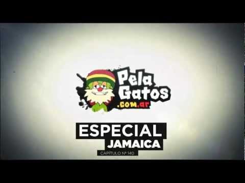 Anticipo PelaGatos TV - Prog. 140 - Especial Jamaica