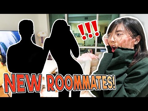 new apartment tour