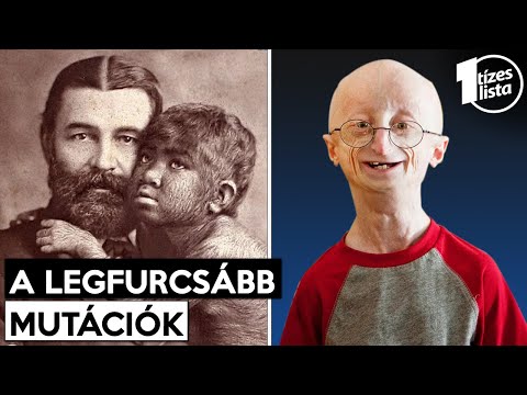 Hogyan kell elkészíteni zab cukorbetegség kezelésében