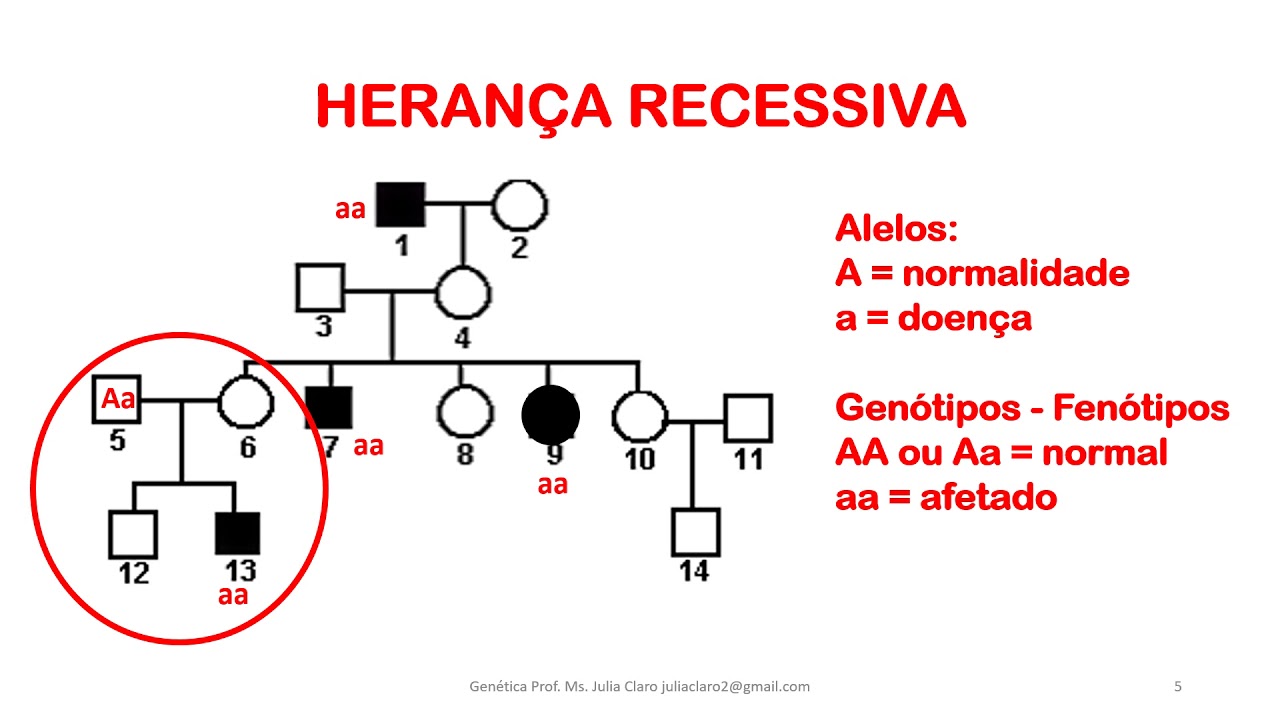 Genética #1 - Herança Autossômica e heredogramas