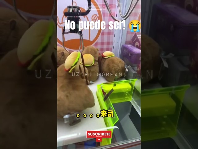Vídeo relacionado con CyP Brands- FC Barcelona,Capibara de Peluche con Gorro de Papá Noel, Muñeco Navideño Suave y Tierno, Regalo Original para Niños y Adultos