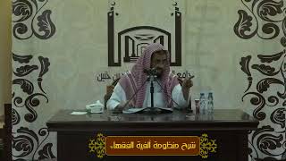 صورة حكم بيع الحمل والصوف