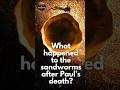 what actually happened to the sandworms after Paul’s death?