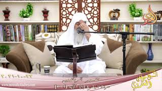 تفسير سورة البقرة للشيخ مصطفى العدوي image