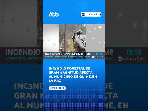 Incendio forestal de gran magnitud afecta al municipio de Quime, en La Paz