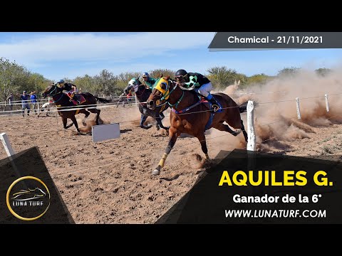 HIP. "EL QUEBRACHAL" CHAMICAL L.R. -21/11/2021 - AQUILES GABRIEL, GRAN CHATO y AMIGO CACHITO