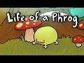 Life of a Phrog | TootyMcNooty