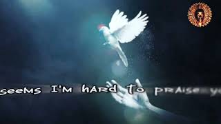 The Grace Thrillers  - Just Because You Are (Lyrics)