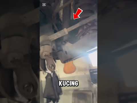 terjebak pada per mobil #shorts #shortvideo