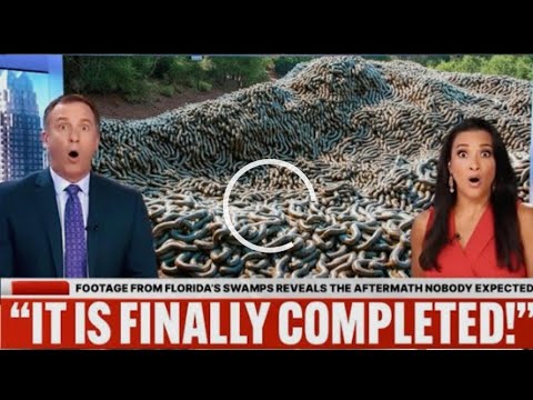 Footage From Florida's Swamps Reveals the Aftermath Nobody Expected