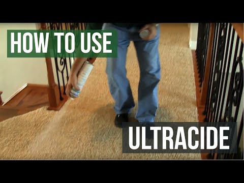 download lagu mp3 mp4 Ultracide, download mp3 Ultracide free download mp3, download mp3 Ultracide