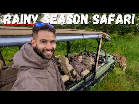 LOW SEASON is the BEST TIME to Go on SAFARI