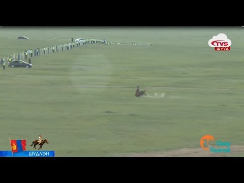 Монгол түмнээ огшуулсан хайр татам халзан үрээний бичлэгийг үзээрэй