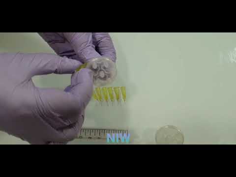 Mesoram Type Multi Injectors Circular Needles Mesotherapy NIW